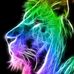Profile Picture of Roberto Minieri (@roberto.minieri.7) on Facebook