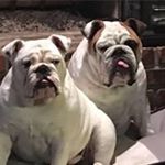 Profile Picture of Jennifer Bryan-Patterson (@jenniferbryanpatterson) on Instagram