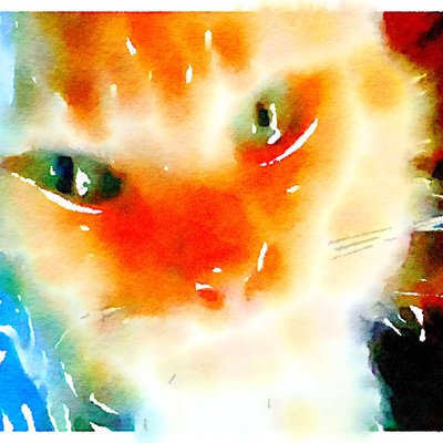 Profile Picture of Mother Of Cats (@WandaHaskins3) on Twitter
