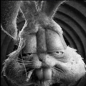 Profile Picture of Bob Carver (@bobcarver5231) on Youtube