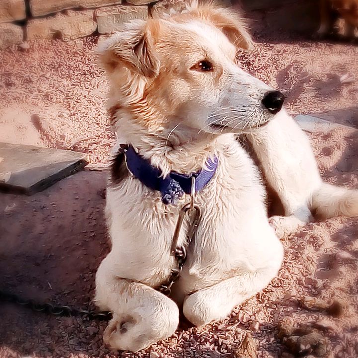 Profile Picture of Harsh Prajapati (@harshitprajapati0001) on Tiktok