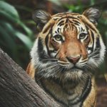 Profile Picture of ian metcalfe (@i_metcalfe) on Instagram