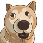 Profile Picture of Zhang Zheng (@zhang.zheng.92372) on Facebook