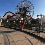 Profile Picture of Jackey Phillips (@Jackey-Phillips) on Facebook