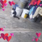 Profile Picture of Fernando Alba (@fernando.alba.185283) on Facebook