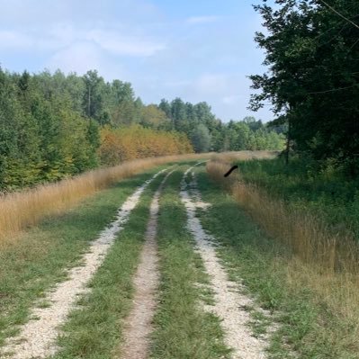 Profile Picture of David Thornbury (@Dft1961) on Twitter