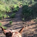 Profile Picture of David Recendiz (@David-Recendiz) on Facebook