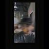 Profile Picture of EdwinWiggins (@alfonudwoci) on Tiktok