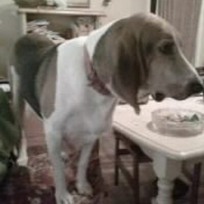Profile Picture of David Digman (@diggerbilt) on Twitter