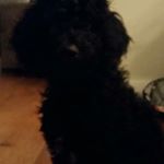 Profile Picture of Nathan (@marley_marshall2) on Instagram