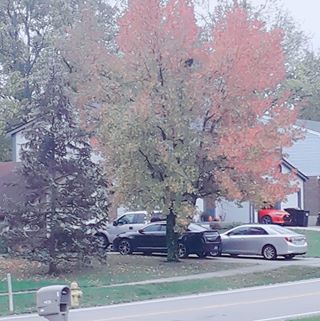 Profile Picture of Nguyen Hua (@Nguyen-Hua) on Facebook