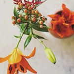 Profile Picture of Scott Aldredge (@budsbyscooch) on Instagram