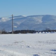 Profile Picture of Tom Luz Blues (@luz_blues) on Twitter