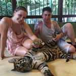 Profile Picture of Josh Clapperton (@josh1c90) on Instagram