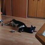 Profile Picture of Jason Cerny (@nicolecerny83) on Instagram