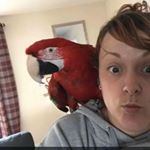 Profile Picture of Kirsty Barber (@kirstymea) on Instagram