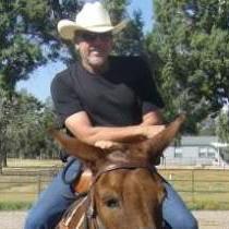 Profile Picture of Ken Messinger (@kenmessinger) on Twitter