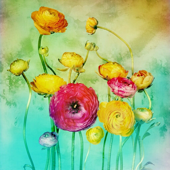 Profile Picture of Bessie Townsend (@bessesy) on Poshmark