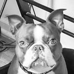 Profile Picture of Reginald Peters (@kingreginaldjames_) on Instagram