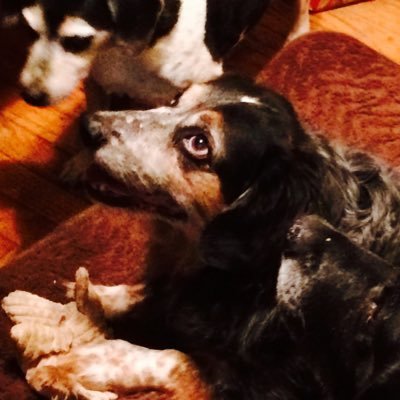 Profile Picture of Bradley Scott Ludlow (@BDOTinCincy) on Twitter