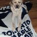 Profile Picture of Tanya Trask (@tanya.trask.1) on Facebook