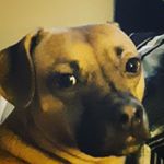 Profile Picture of Alex (@alexharrell2007) on Instagram