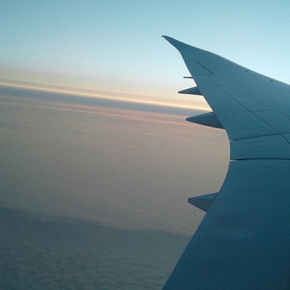 Profile Picture of Amara Levinthal (@amaralev46) on Poshmark