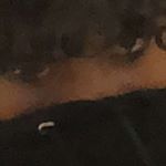 Profile Picture of Tyler T2 (@tyler_taylor380) on Instagram