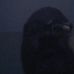 Profile Picture of Jeffrey Crane (@jeffrey.crane.7146) on Facebook