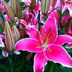 Profile Picture of Lori Groves (@lori.groves.12) on Facebook