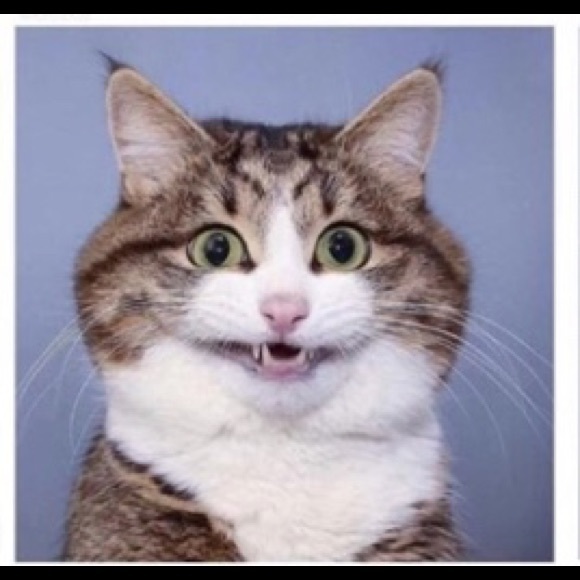 Profile Picture of Calvin Rancourt (@calvinriscool) on Poshmark