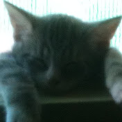 Profile Picture of Joanne Nelson (@joannenelson1418) on Youtube