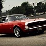 Thomas Larney - Instagram Profile Picture of Thomas Larney (@larneythomas) on Instagram