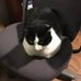 Profile Picture of Murray Gordon (@murray.gordon.779) on Facebook