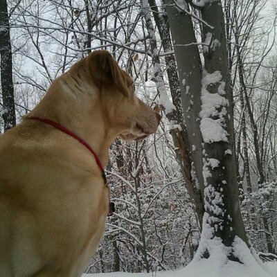Profile Picture of Leah Horton (@lhorton15) on Twitter