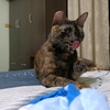 Profile Picture of Alice Su (@@30644434585) on Tiktok