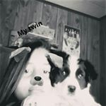 Profile Picture of Quianna (@quianna_lucero) on Instagram