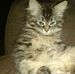 Profile Picture of Thomas Wapash (@thomas.wapash) on Facebook
