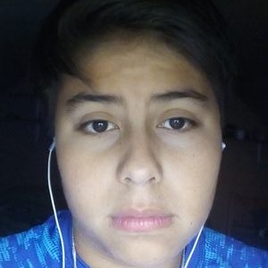 Profile Picture of Hellmuth Alejandro Martín Florencio Sáez Ojeda (@HellmuthOjeda) on Twitter