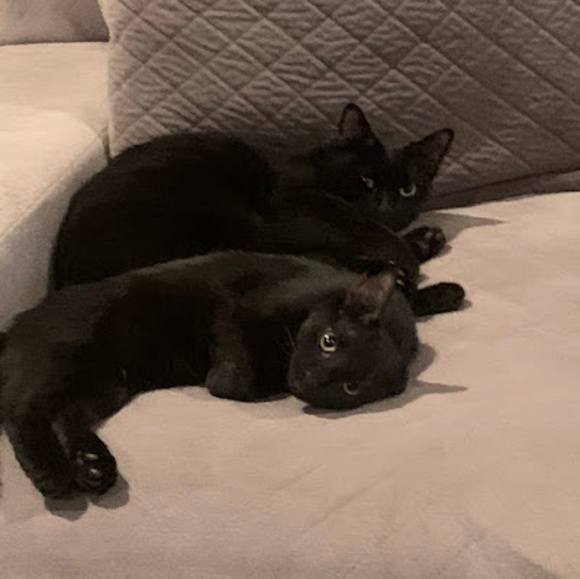 Profile Picture of Ana Poje (@azpoje1211) on Poshmark