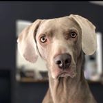 Profile Picture of Jordi Dalmau (@mau__32) on Instagram