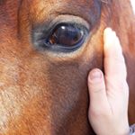 Profile Picture of Daniela Di Carlo (@daniela.dicarlo.92) on Instagram