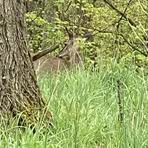 Profile Picture of Sharron Morse (@Sharron.Morse) on Facebook