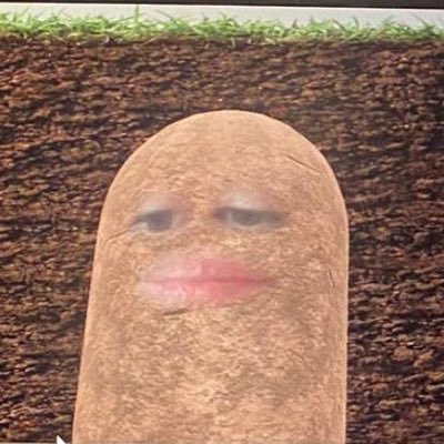 Profile Picture of McKenna Allen (@McKennaAllen6) on Twitter