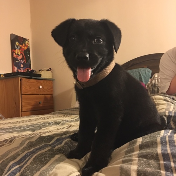 Profile Picture of Shawn Cormier (@shawncormier) on Poshmark