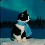 Profile Picture of Simon Perez (@simon.perez.976655) on Facebook