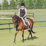 Profile Picture of Brittany Calebaugh (@bc.equine.bodywork) on Instagram