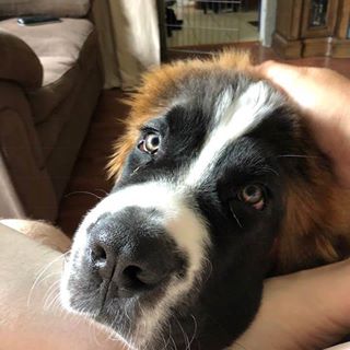 Profile Picture of Paul Filer (@paul.filer.54) on Facebook