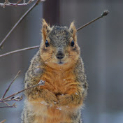 Profile Picture of Steven Eich (@Eich226) on Youtube