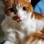 Sandra Tempest Waddle - Instagram Profile Picture of Sandra Tempest Waddle (@sandrawaddle) on Instagram